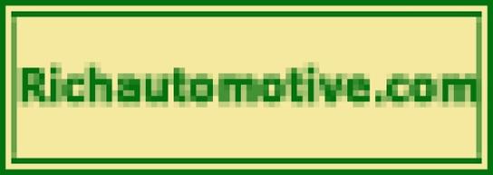 Rich Automotive Inc