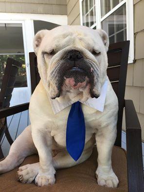 Mahwah Ford Sales & Service