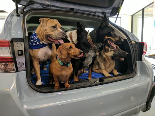 Findlay Subaru Prescott