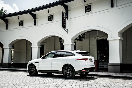Warren Henry Jaguar