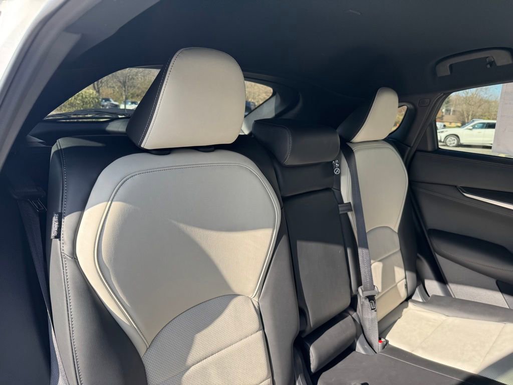 New 2025 INFINITI QX55 Luxe w/ Cargo Package image 14