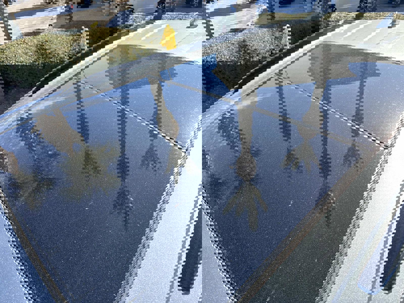 Certified 2024 Cadillac XT6 Sport w/ Technology Package image 11