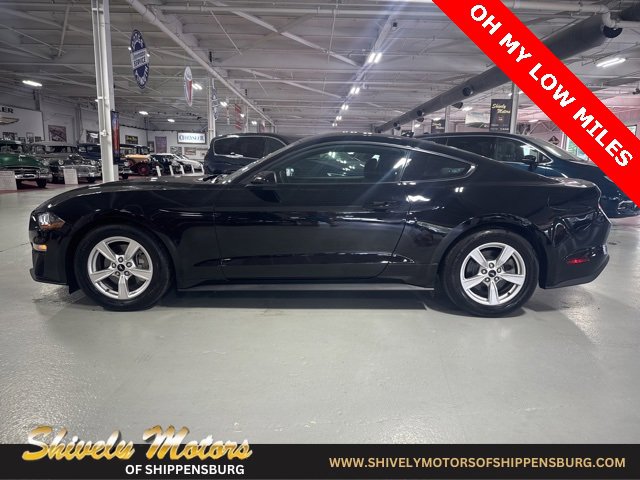 Used 2022 Ford Mustang EcoBoost image 2