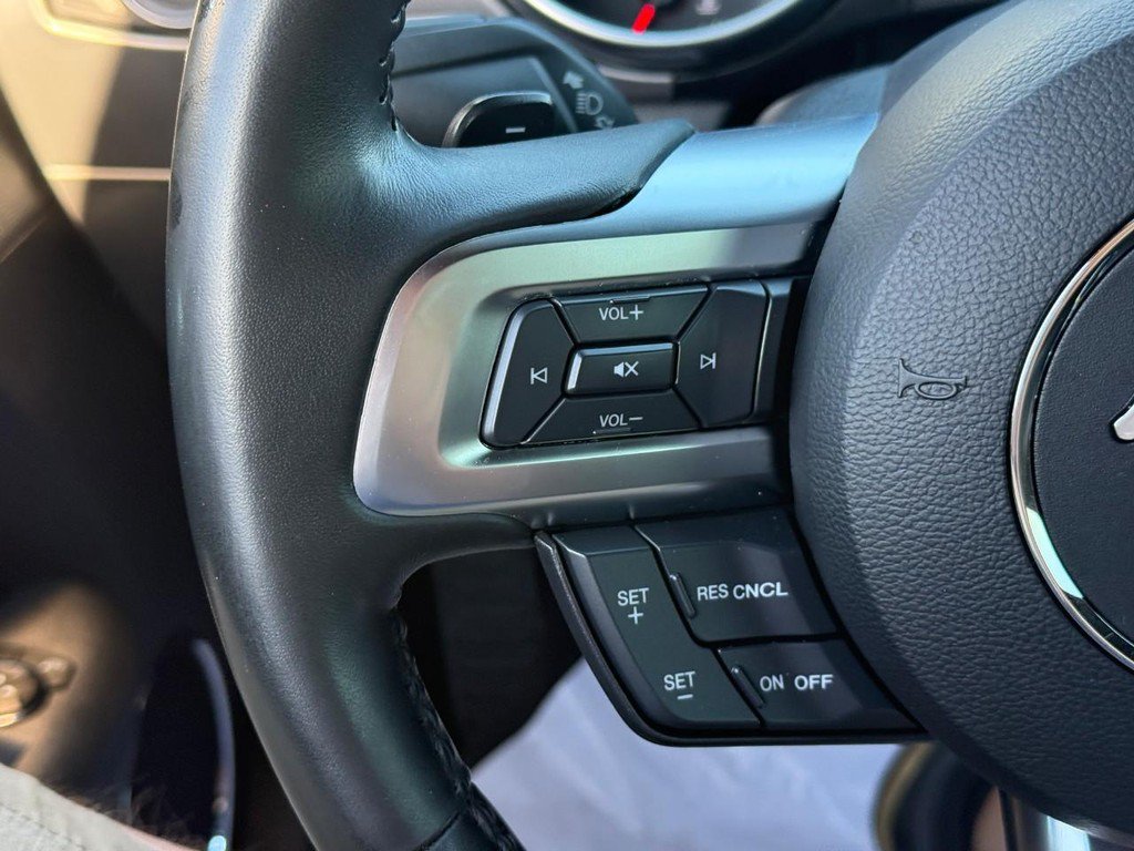 Used 2019 Ford Mustang GT Premium w/ Enhanced Security Package RWD image 18