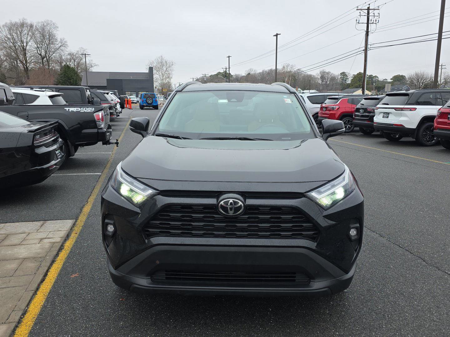 Used 2024 Toyota RAV4 XLE Premium image 7