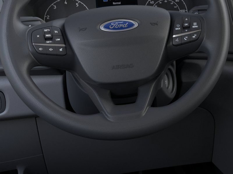 New 2025 Ford Transit 150 Low Roof w/ Load Area Protection Package RWD image 13