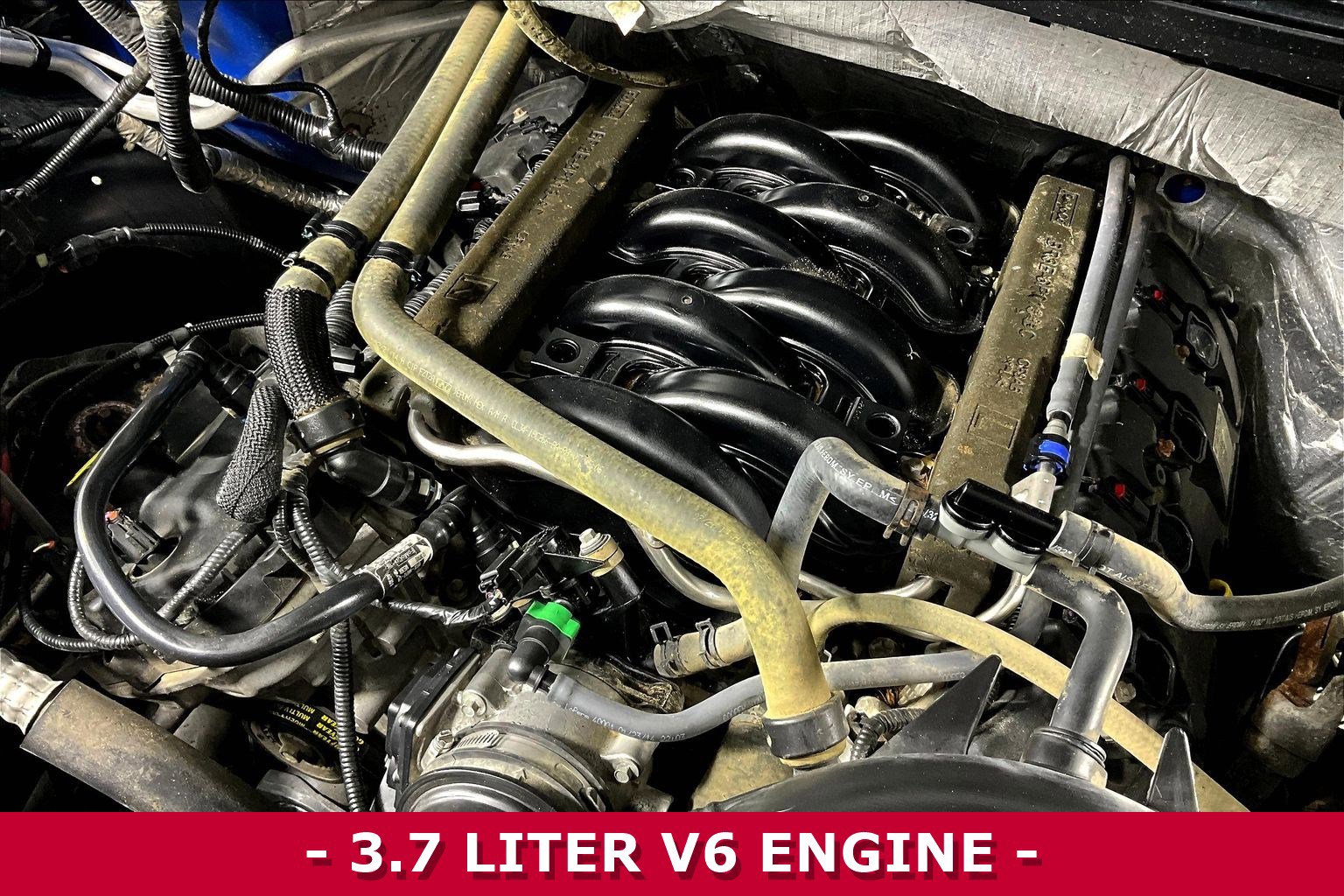 Used 2014 Ford F150 XLT w/ Equipment Group 302A Luxury image 32