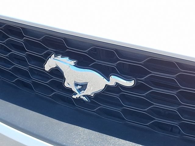 Used 2019 Ford Mustang Premium RWD image 29