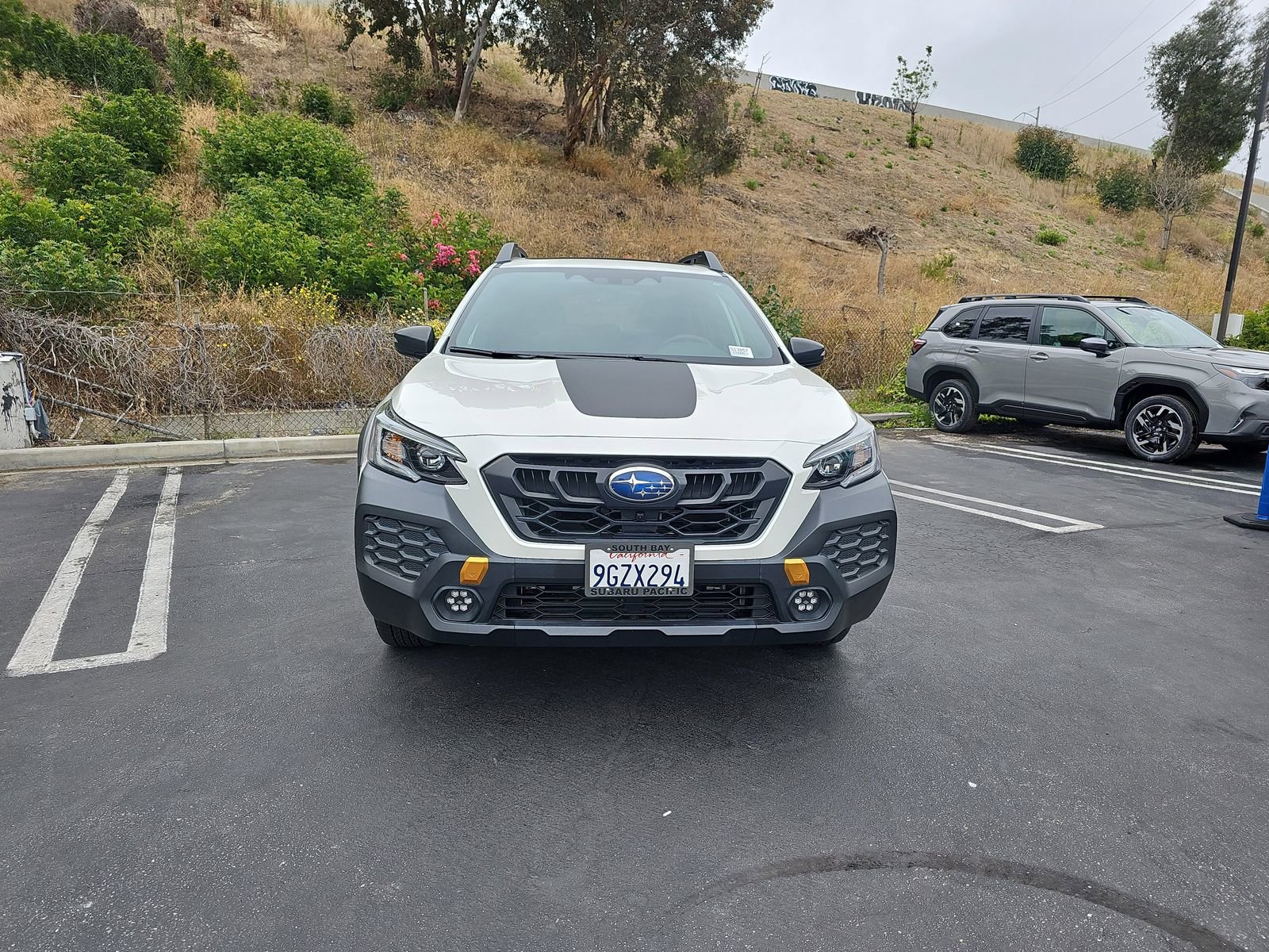 Used 2024 Subaru Outback Wilderness AWD/4WD image 12