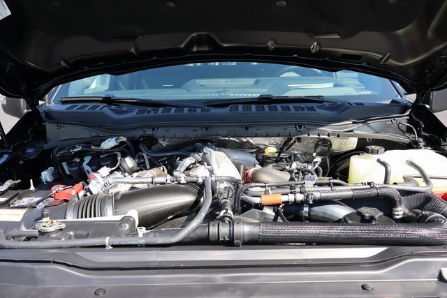 New 2026 Ford F250 Platinum w/ Tremor Off-Road Package image 43