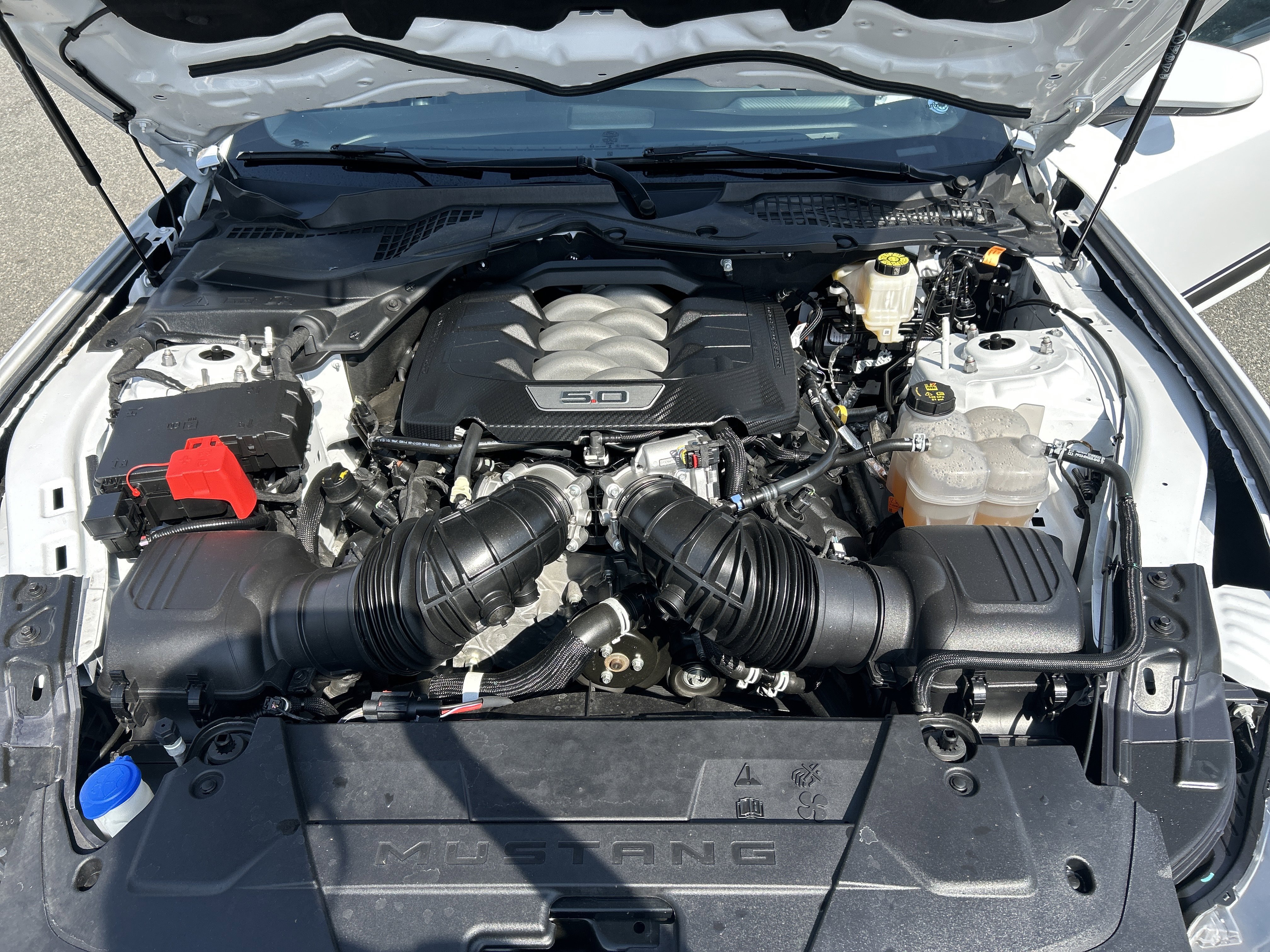 Certified 2024 Ford Mustang GT Premium w/ California Special Package image 19