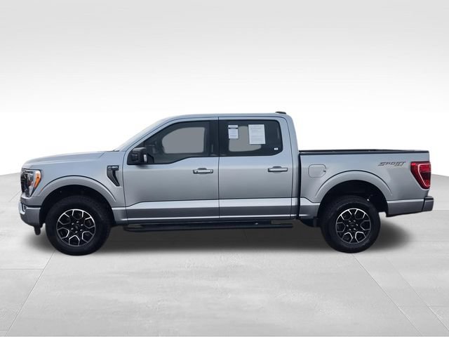 Used 2023 Ford F150 XLT w/ Equipment Group 302A High AWD/4WD image 5