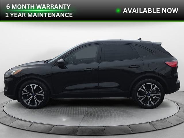 Used 2021 Ford Escape SE w/ SE Sport Appearance Package image 2