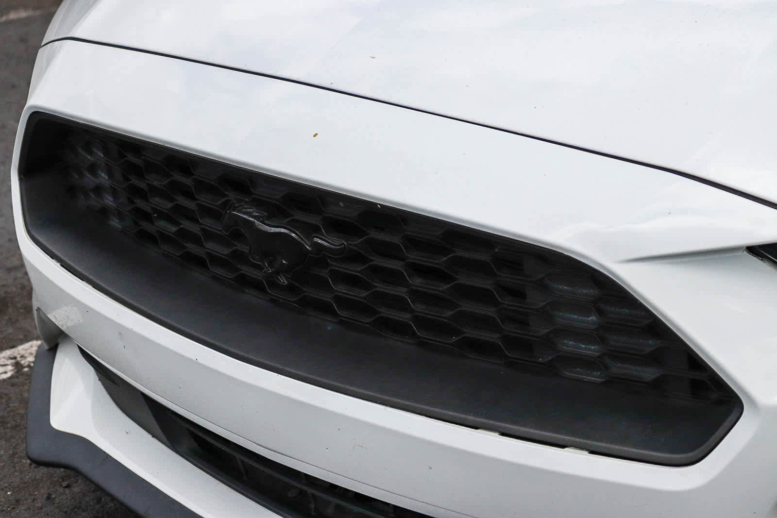Used 2019 Ford Mustang Coupe w/ Black Accent Package RWD image 3