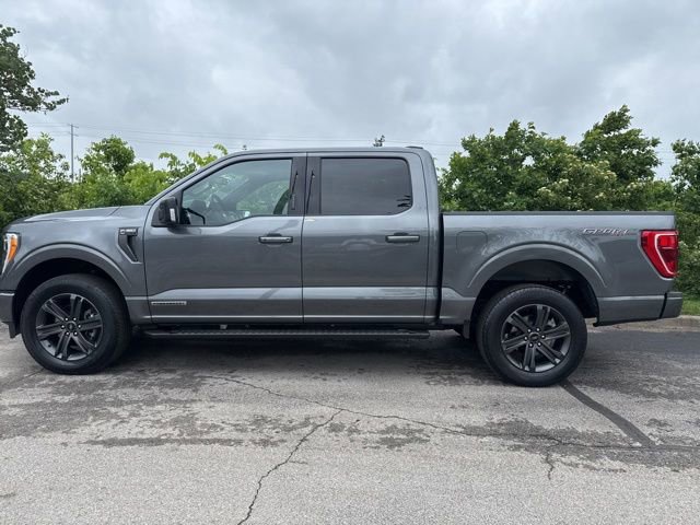 Used 2023 Ford F150 XLT w/ Equipment Group 302A High AWD/4WD image 5