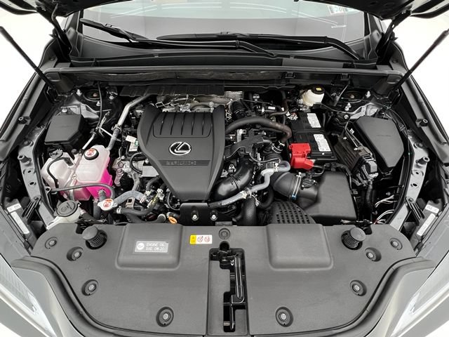 Used 2025 Lexus NX 350 AWD w/ Cold Area Package image 28