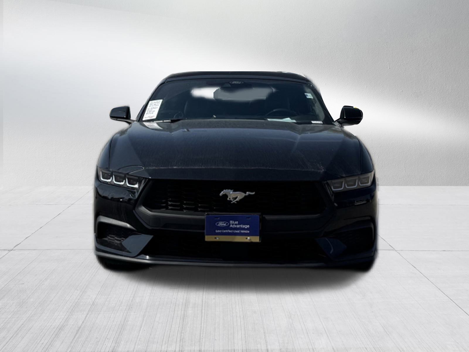 Certified 2024 Ford Mustang Premium image 2