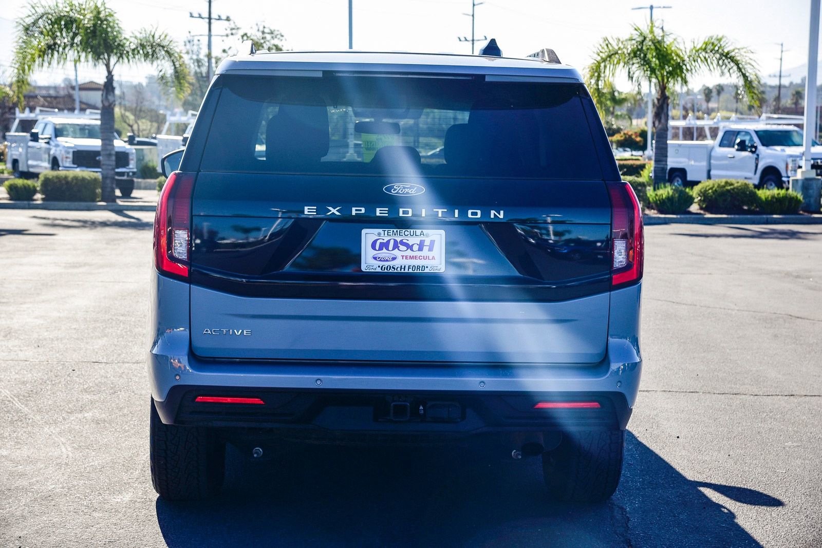 Used 2025 Ford Expedition Active image 5