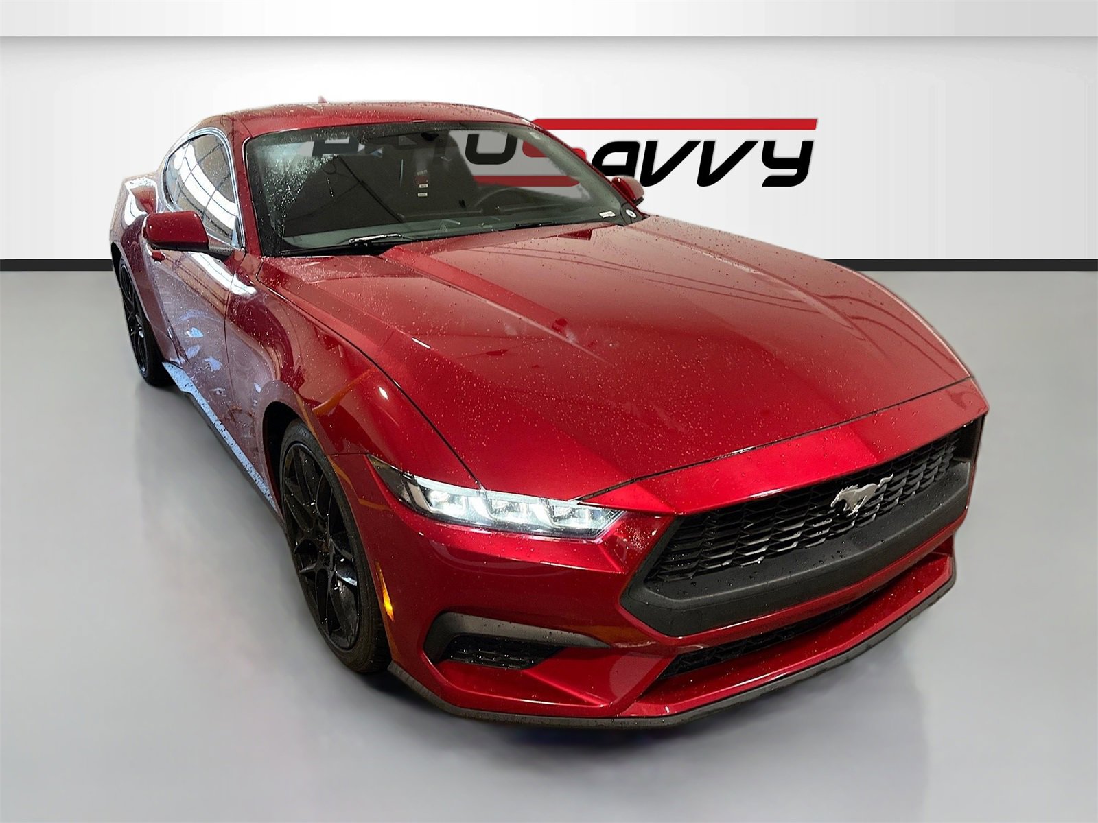 Used 2024 Ford Mustang Coupe image 1