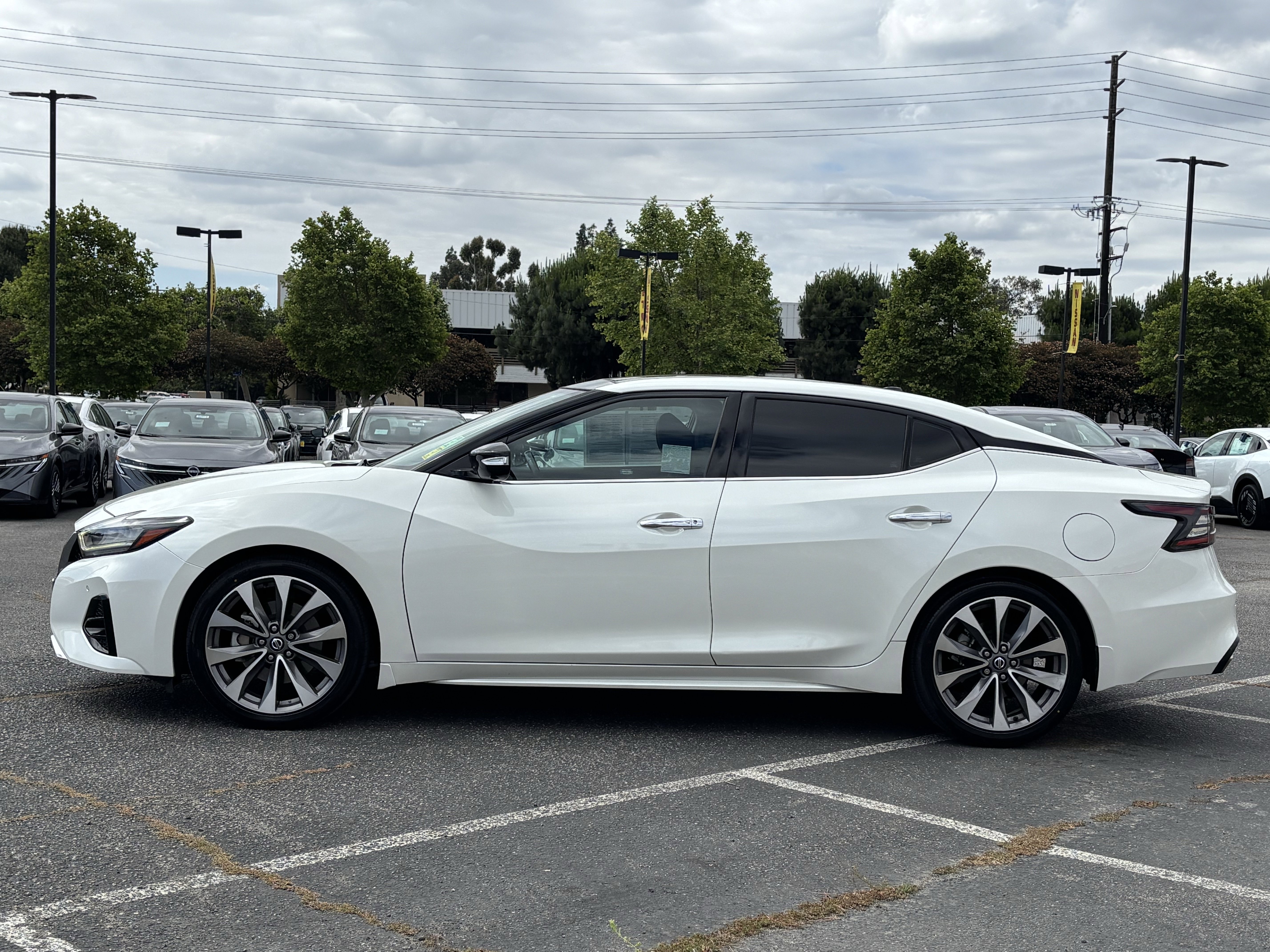 Used 2022 Nissan Maxima Platinum w/ Sport Mat Group FWD image 6