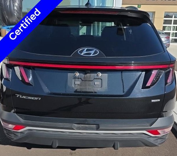 Used 2024 Hyundai Tucson SEL w/ Convenience Package AWD/4WD image 12