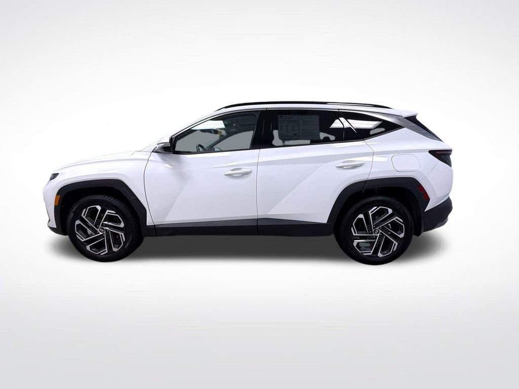 Used 2025 Hyundai Tucson Limited image 10