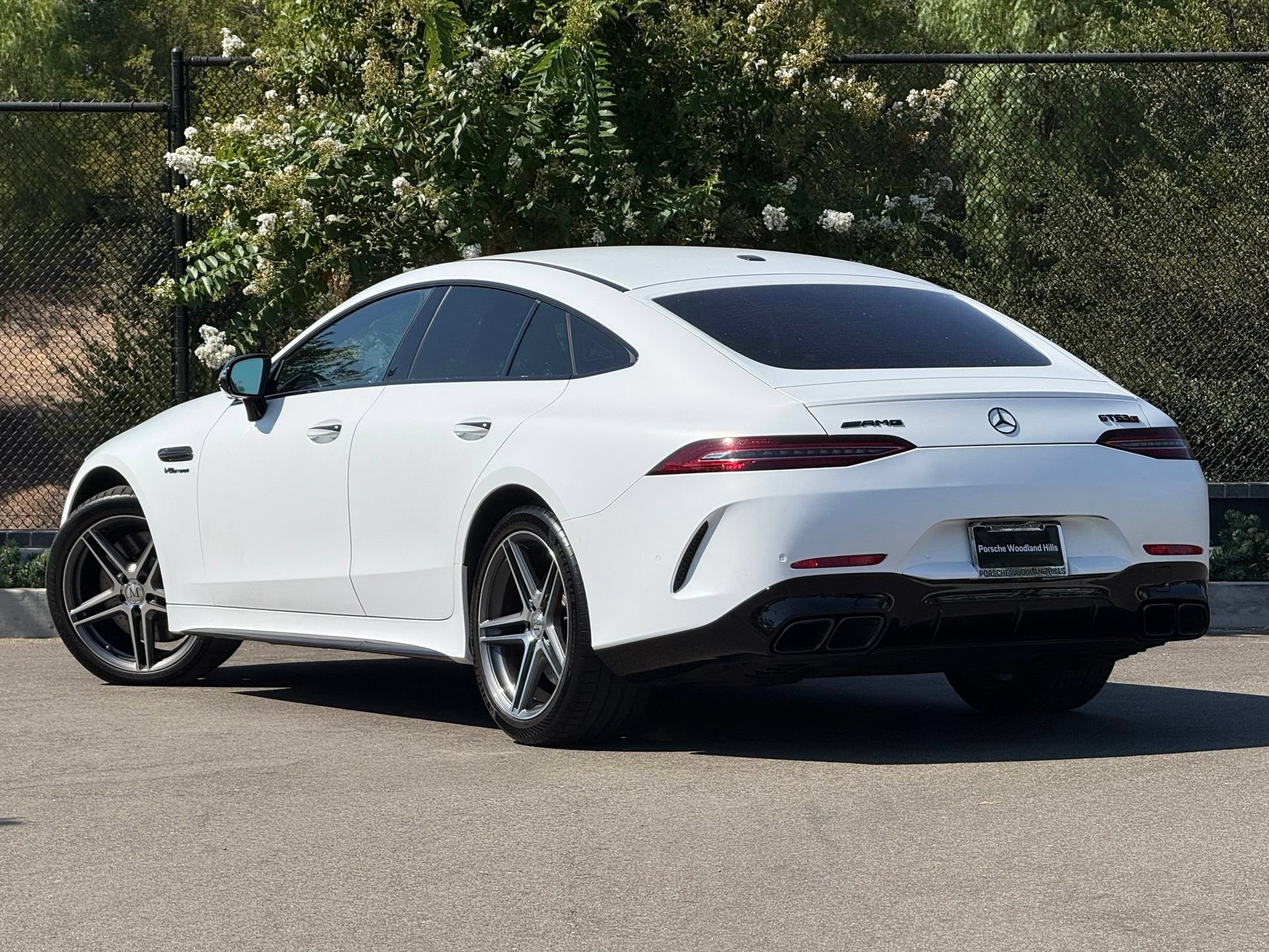 Used 2019 Mercedes-Benz AMG GT 63 image 3