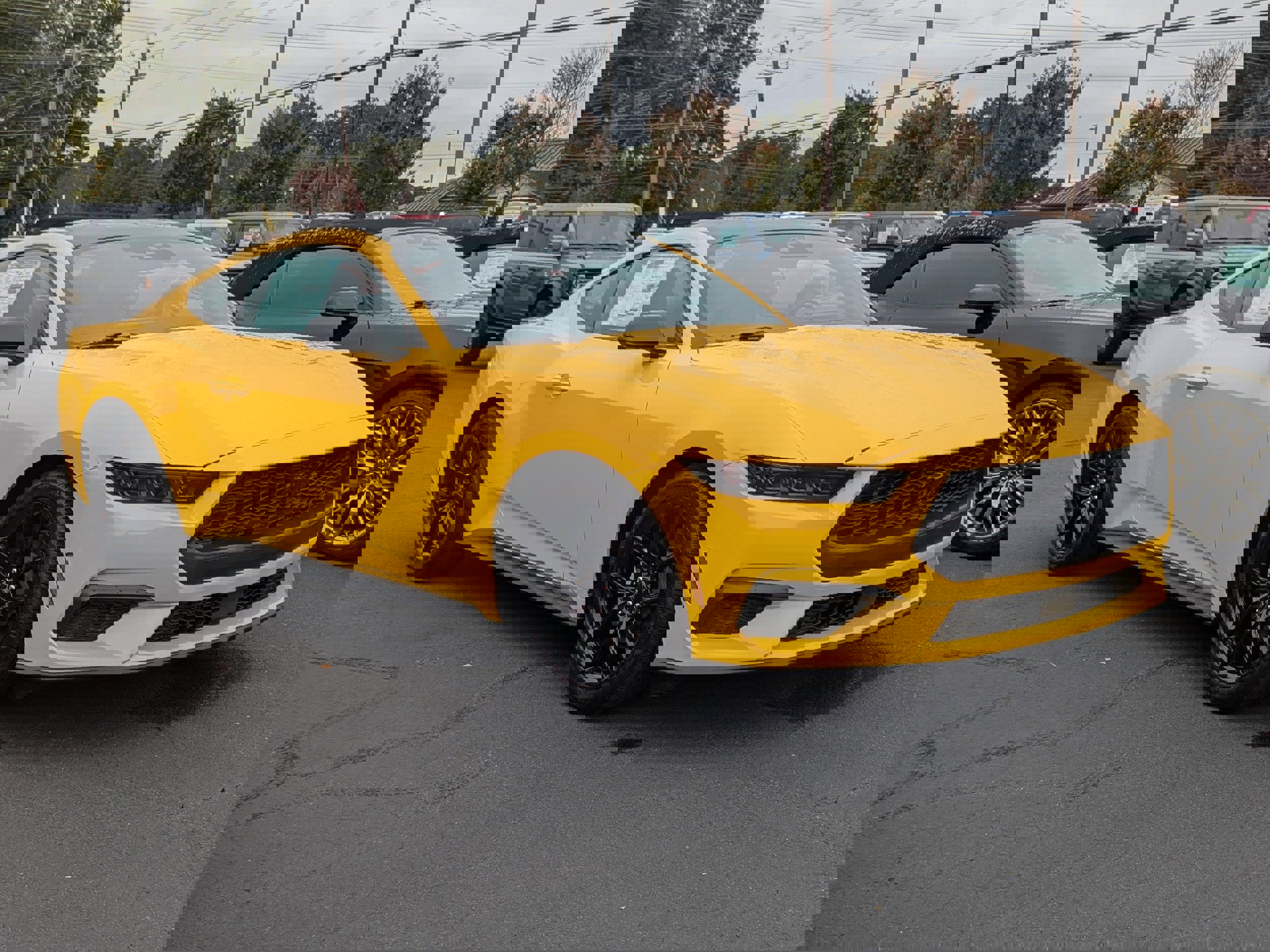 New 2024 Ford Mustang Premium RWD image 3