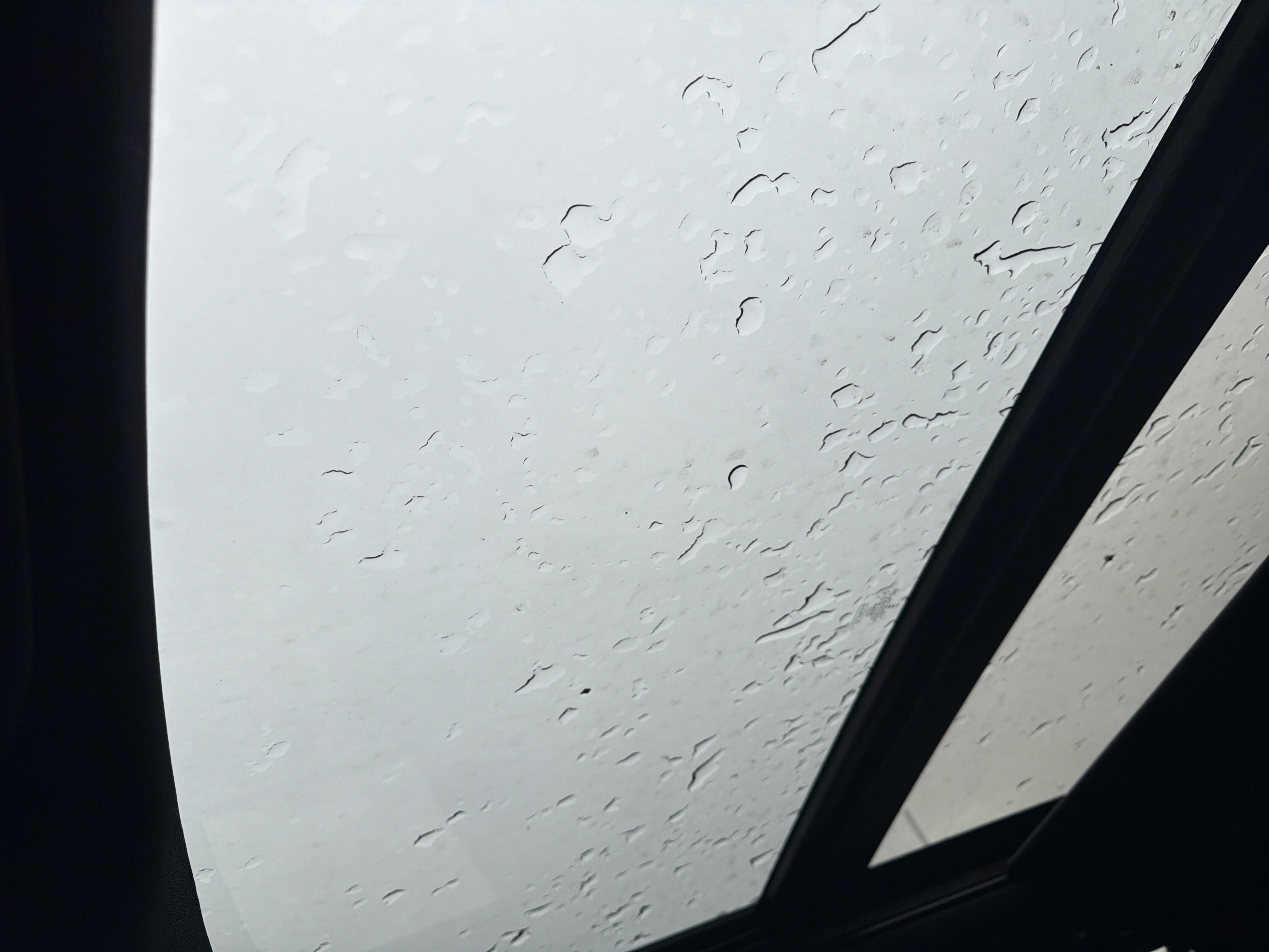 New 2026 Ford Expedition Tremor image 28