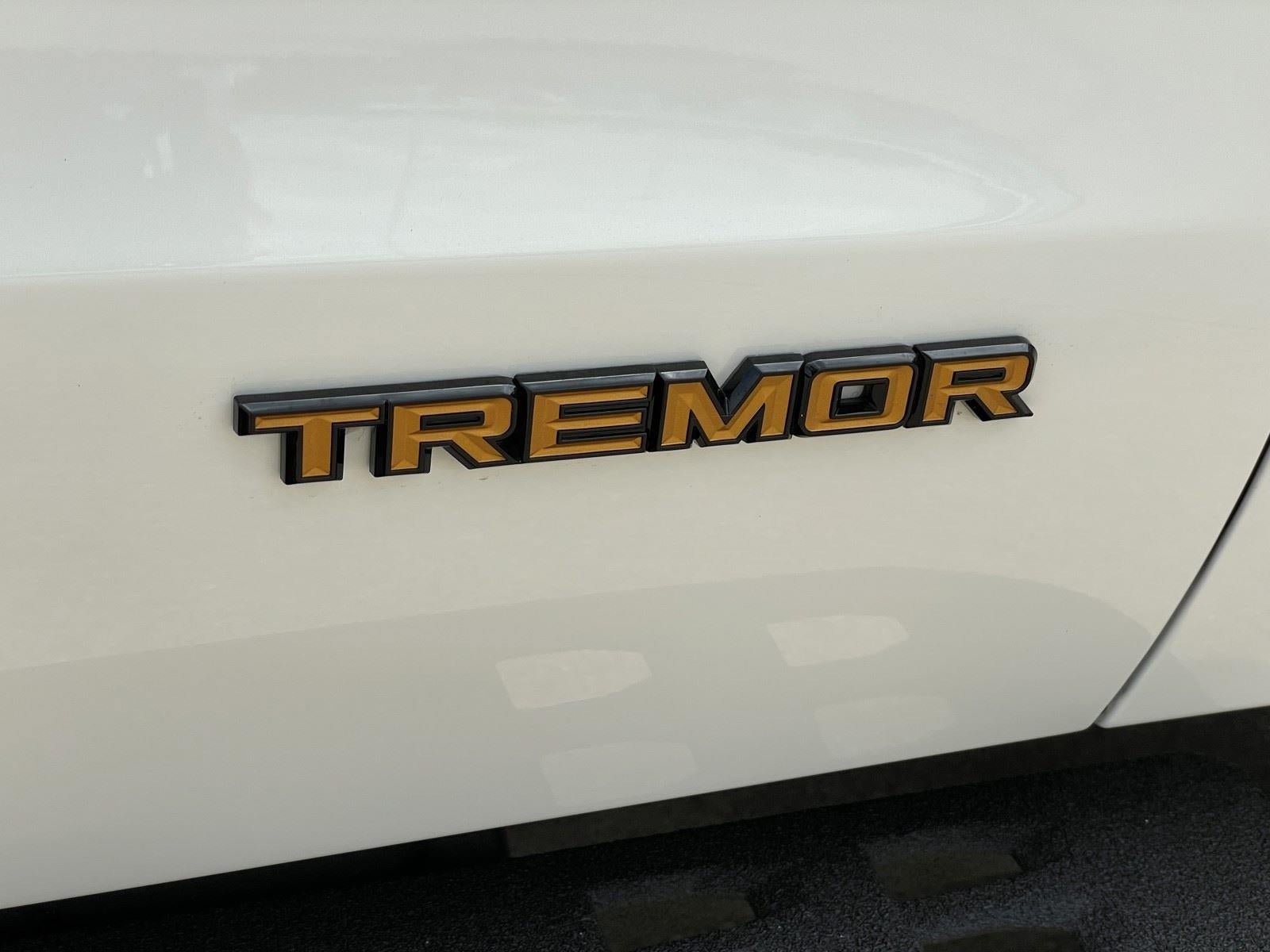 New 2026 Ford Expedition Tremor AWD/4WD image 65