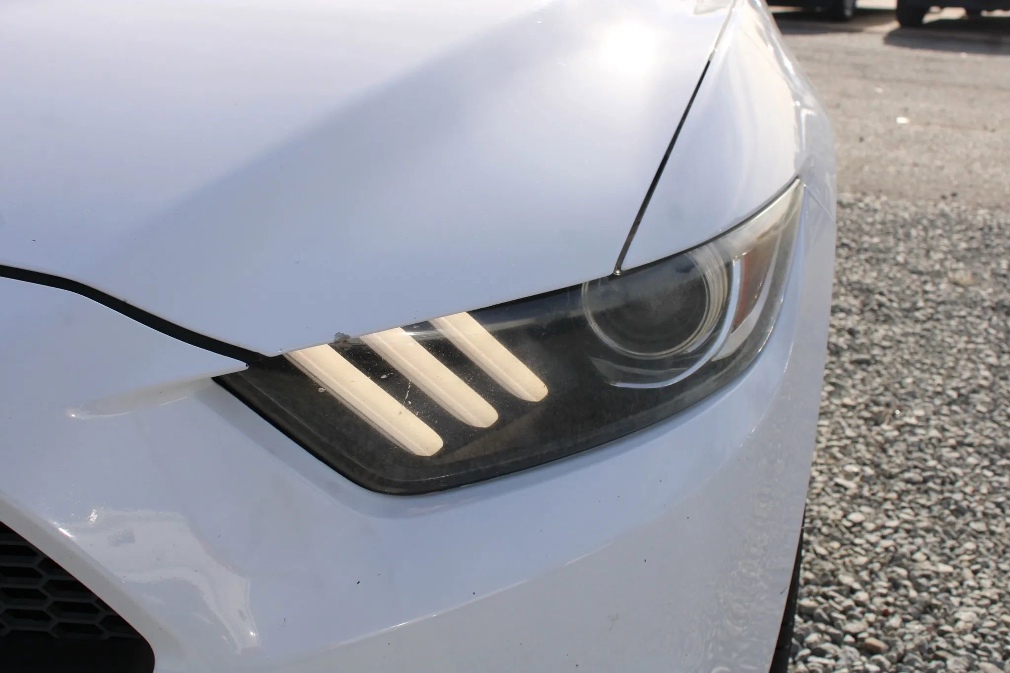 Used 2017 Ford Mustang Premium image 4