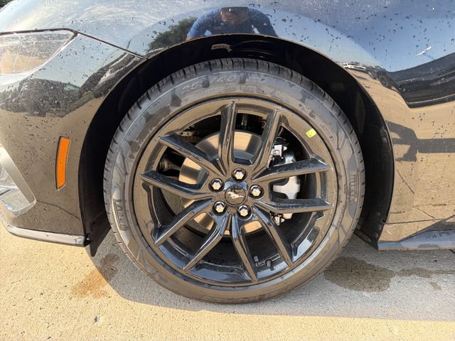 New 2026 Ford Mustang Coupe w/ Mustang Nite Pony Package RWD image 12