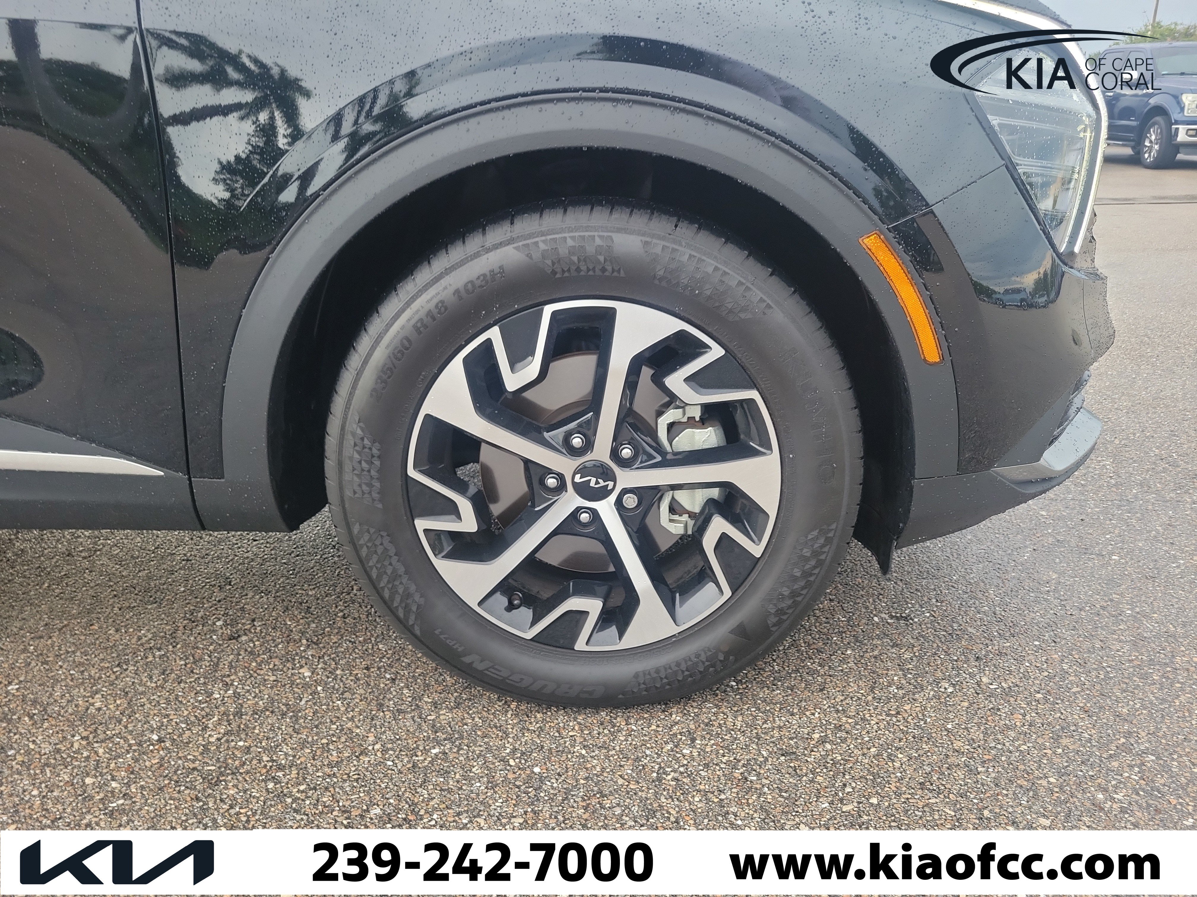 Certified 2025 Kia Sportage EX w/ Premium Package FWD image 7