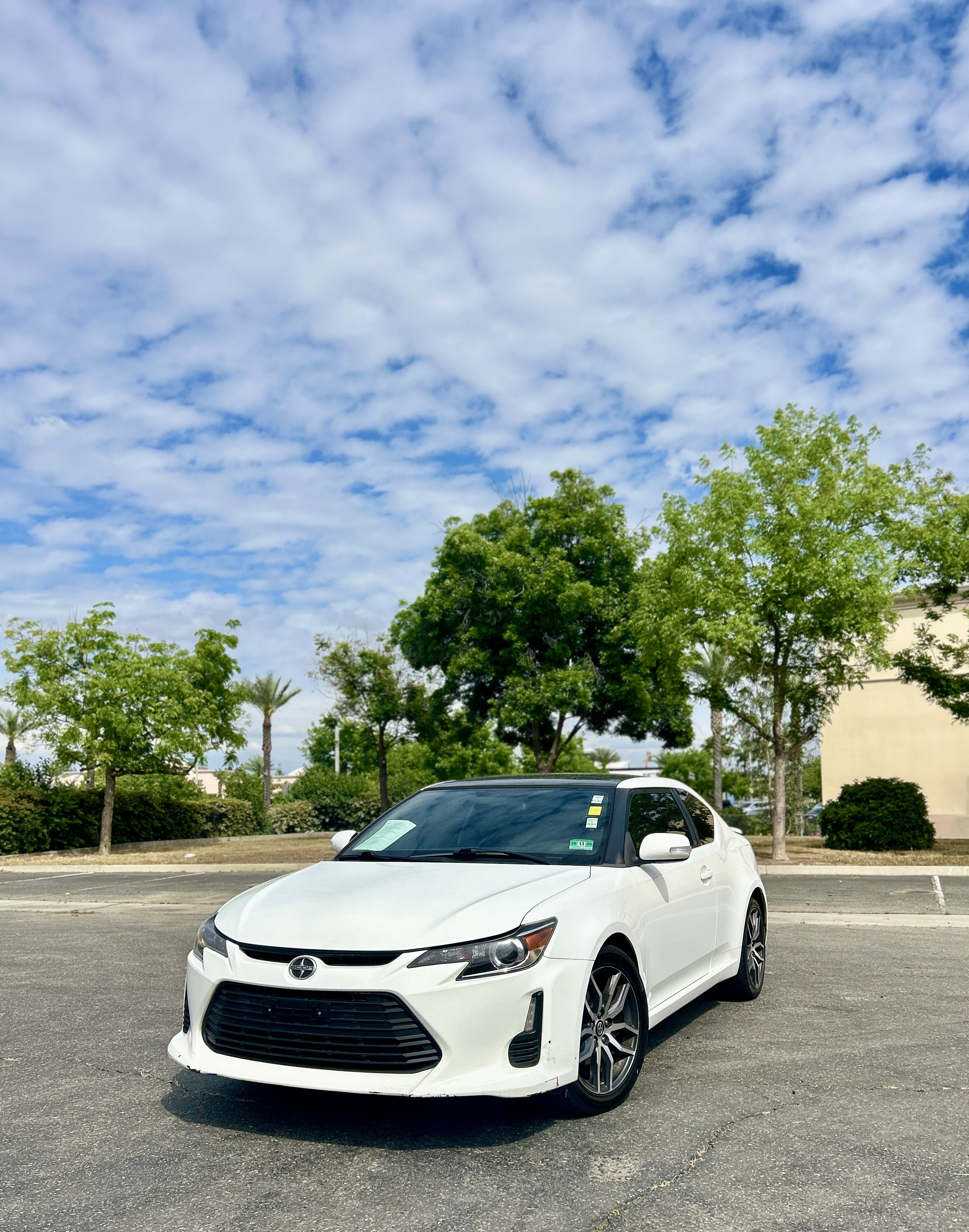 Used 2014 Scion tC Monogram Series image 2