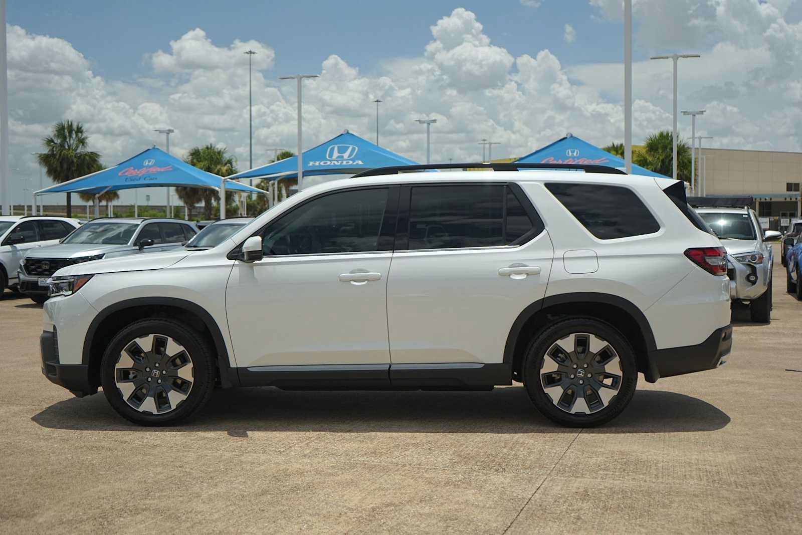 Used 2026 Honda Pilot Elite image 3