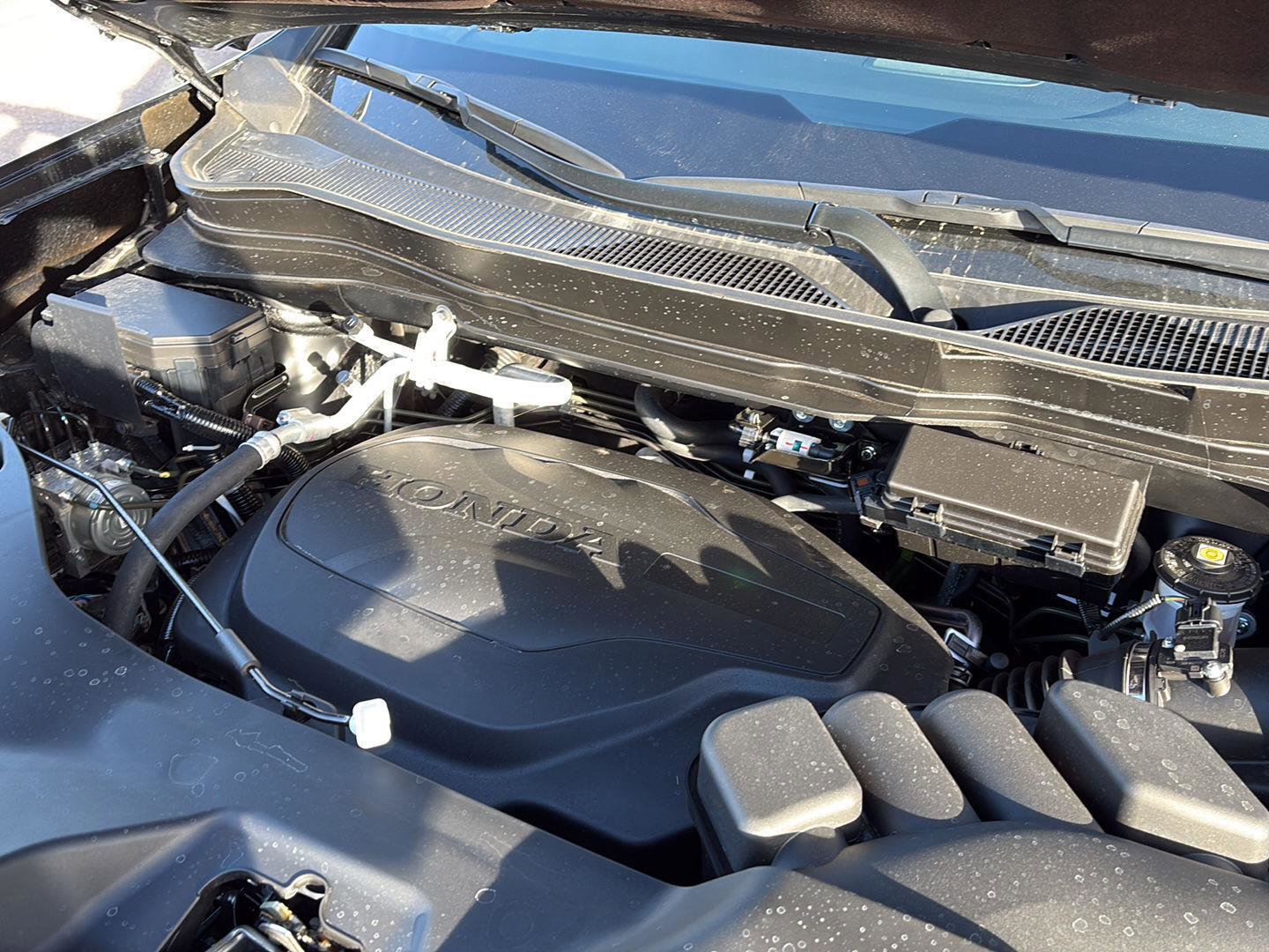 Certified 2025 Honda Ridgeline Black Edition image 10