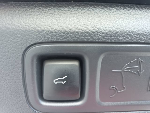 Used 2024 Ford Expedition Timberline AWD/4WD image 15