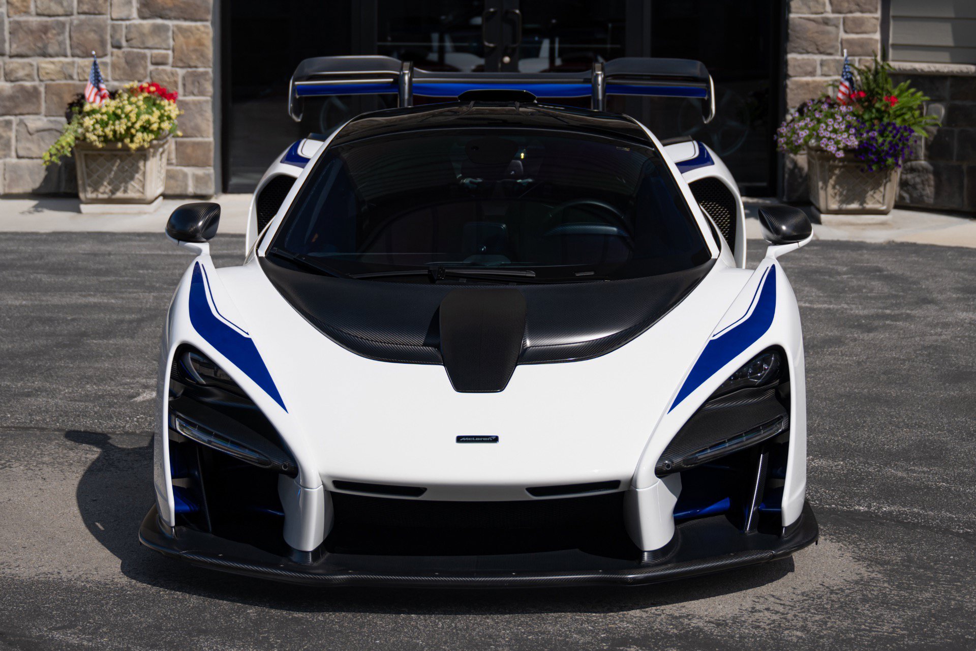 Used 2019 McLaren Senna RWD image 21