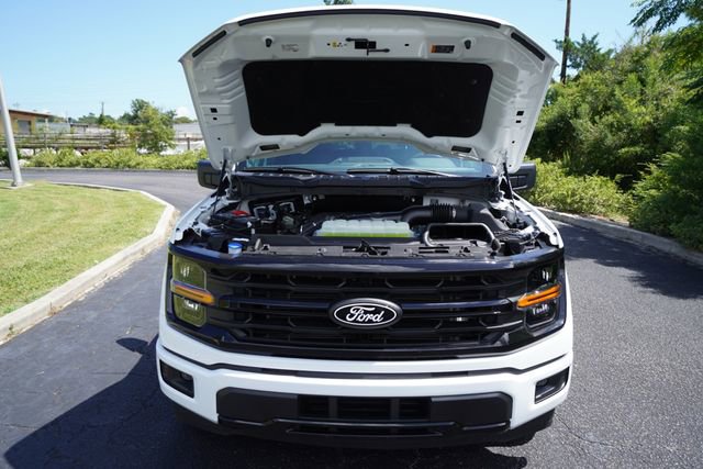 Used 2025 Ford F150 XLT w/ Equipment Group 301A Standard image 9