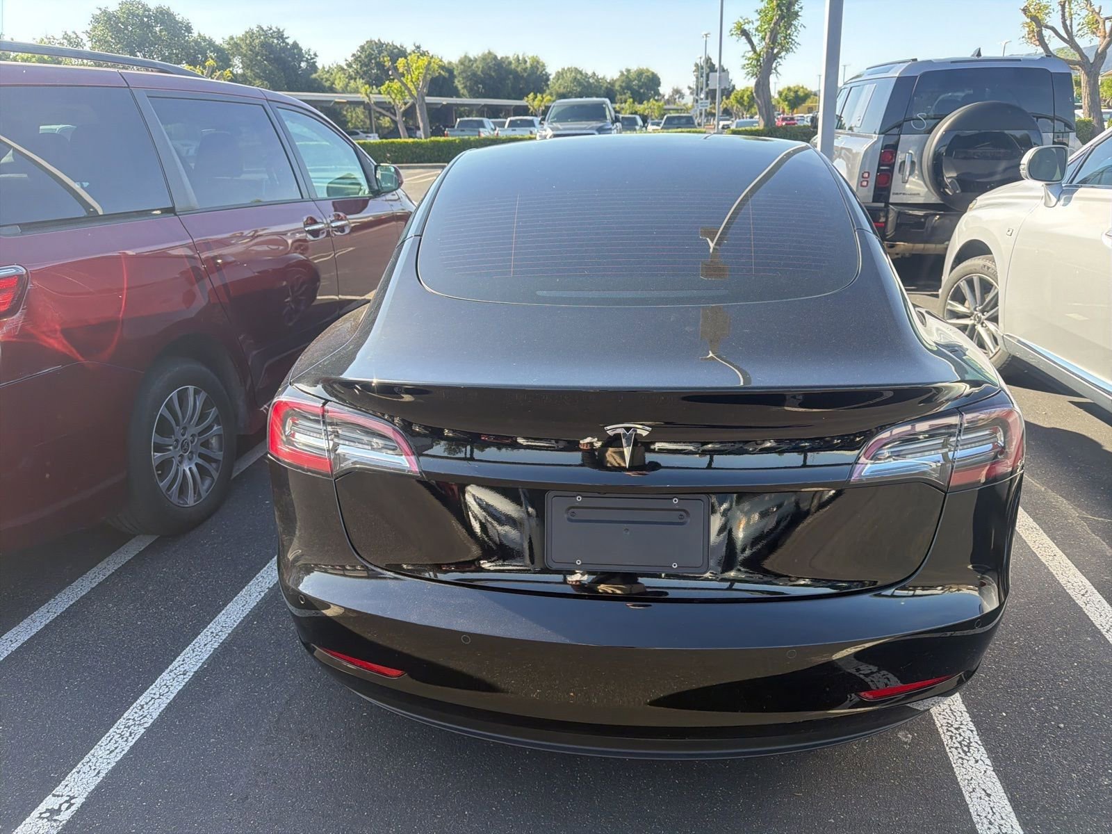 Used 2021 Tesla Model 3 Standard Range Plus RWD image 6