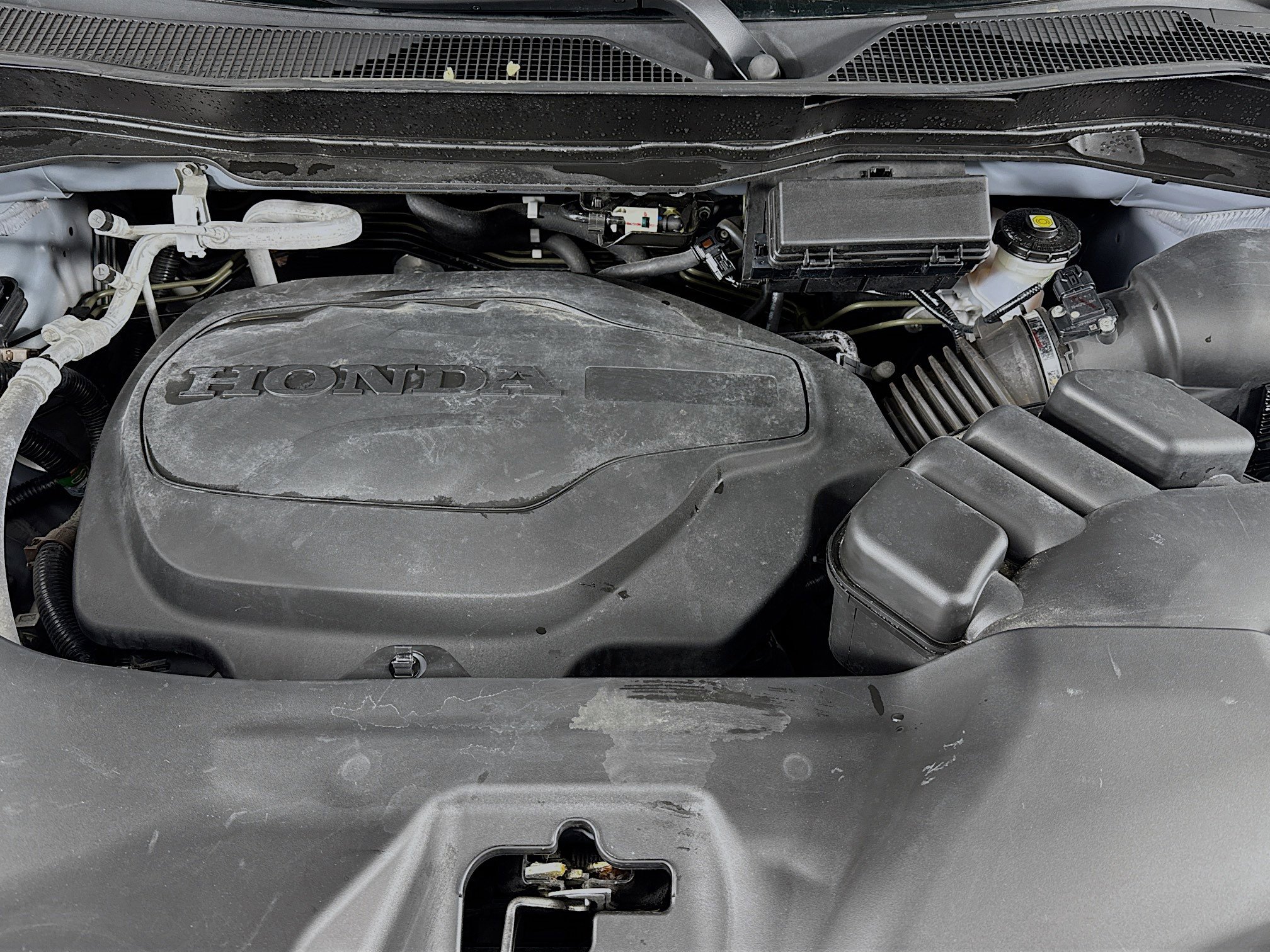 Certified 2023 Honda Passport TrailSport image 30