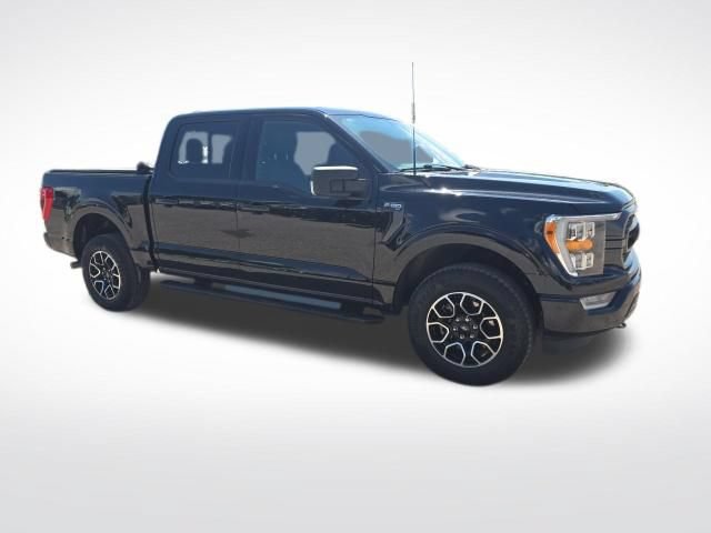 Used 2023 Ford F150 XLT w/ Equipment Group 302A High AWD/4WD image 1