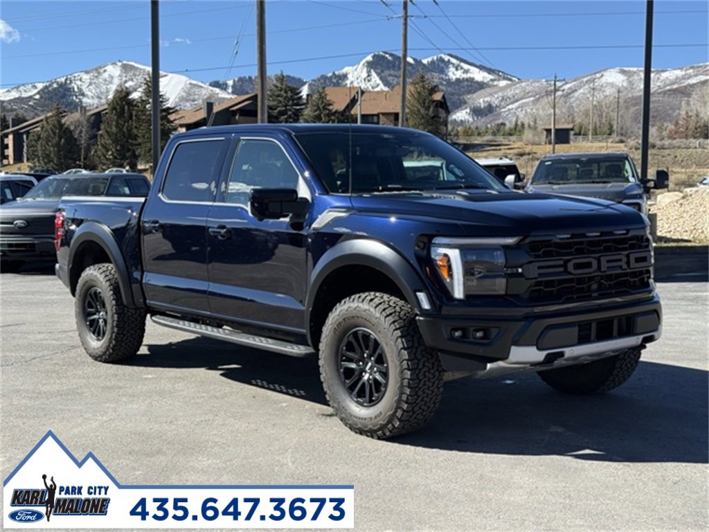 Used 2025 Ford F150 Raptor image 9