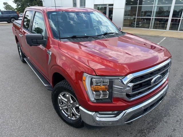 Used 2023 Ford F150 XLT w/ Equipment Group 302A High AWD/4WD image 6