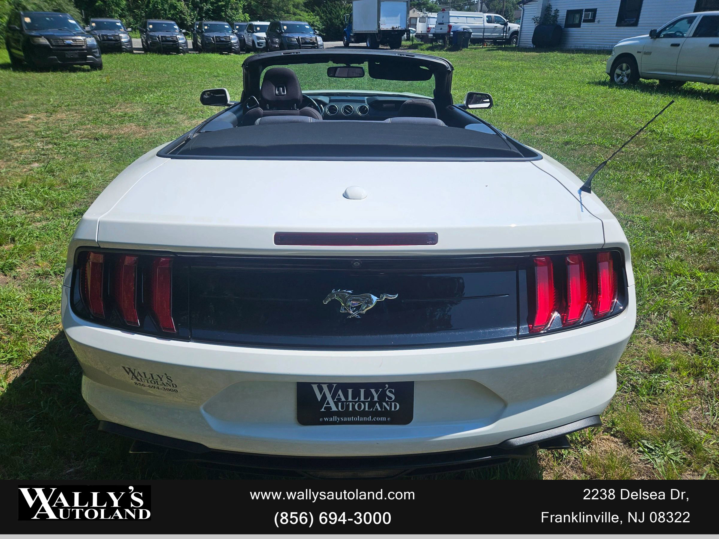 Used 2019 Ford Mustang Convertible image 23