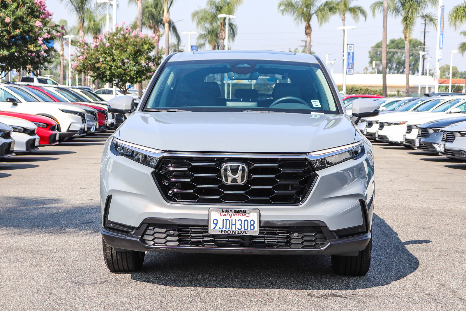 Certified 2024 Honda CR-V EX-L image 2