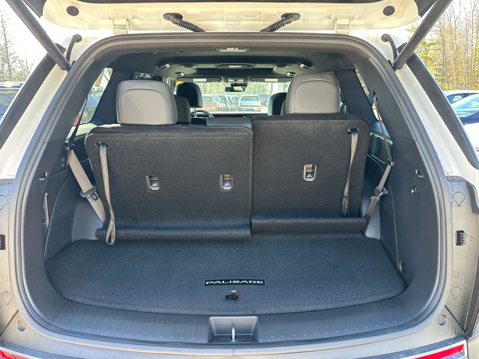 New 2026 Hyundai Palisade XRT Pro image 10
