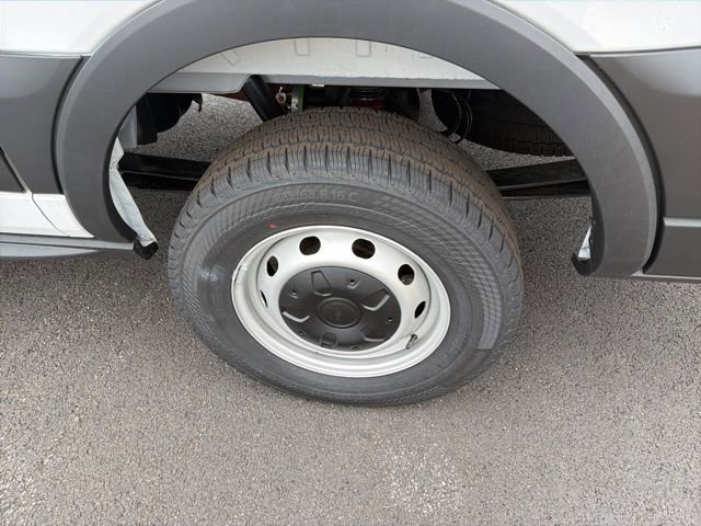 New 2025 Ford Transit 250 Low Roof w/ Load Area Protection Package RWD image 8