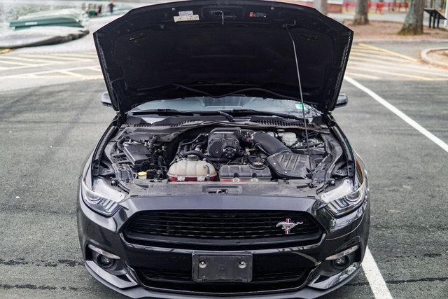 Used 2017 Ford Mustang GT Premium image 19