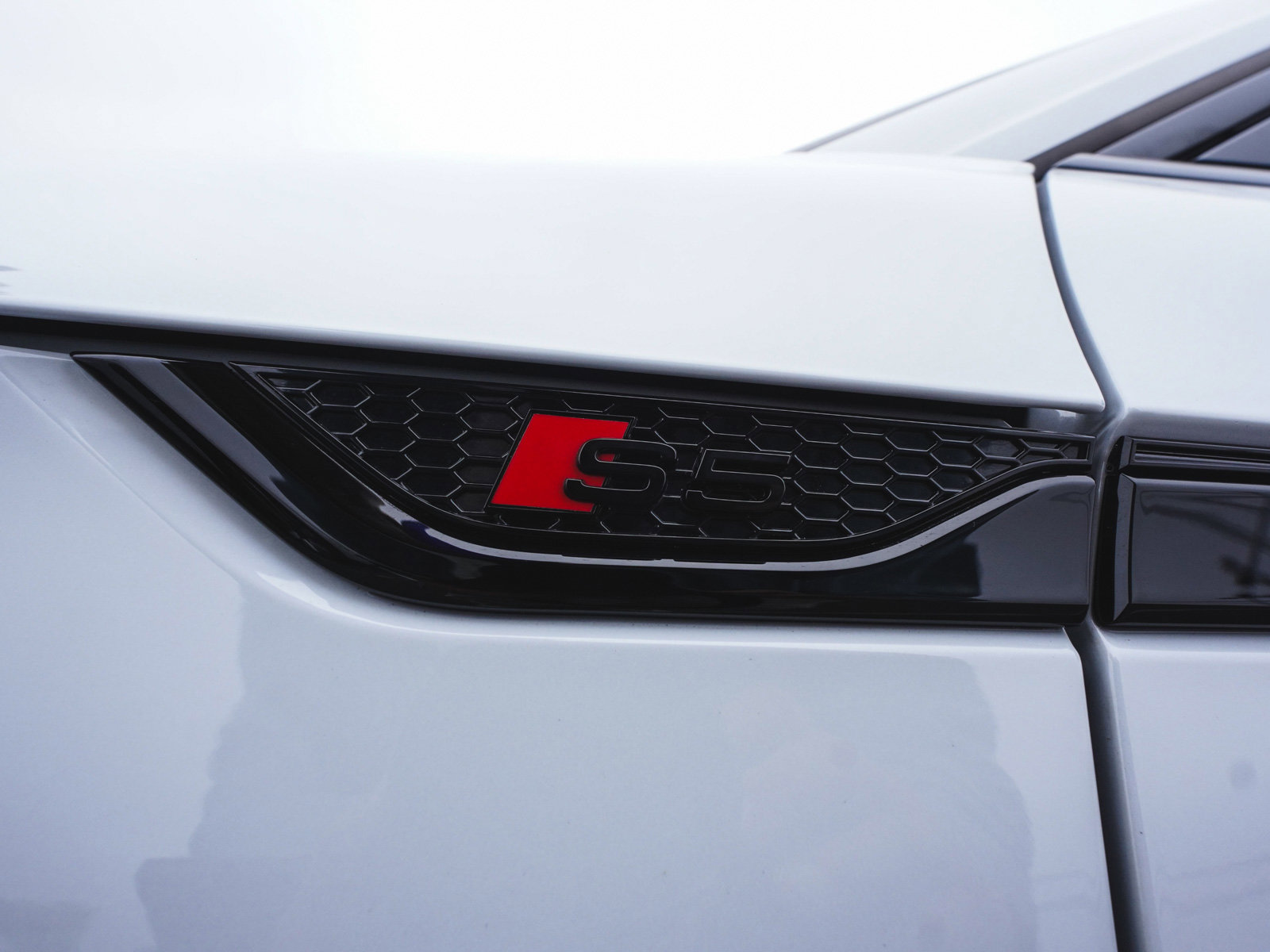 Used 2025 Audi S5 Premium Plus w/ Premium Plus Package image 43